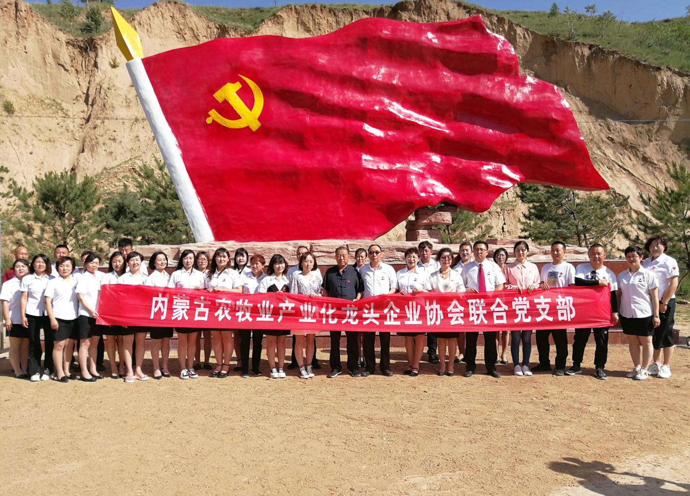 內(nèi)蒙古農(nóng)牧業(yè)產(chǎn)業(yè)化龍頭企業(yè)協(xié)會走進(jìn)石人灣村開展“辦實(shí)事、解難題，送溫暖，傳黨恩”公益活動